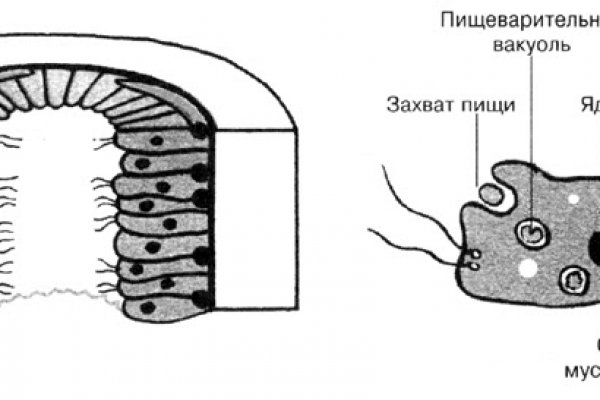 Кракен маркетплейс магазин