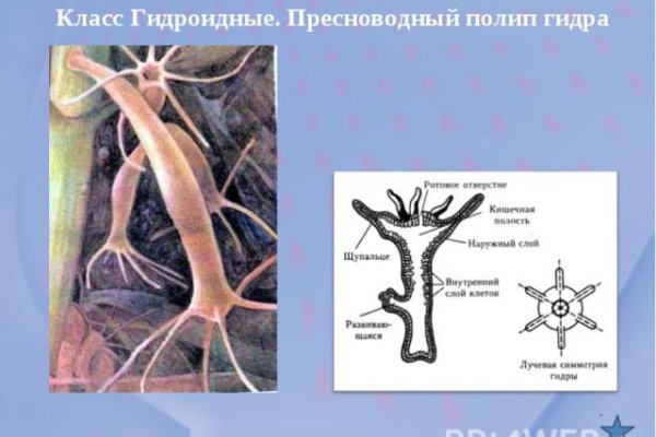 Кракен ссылка работает