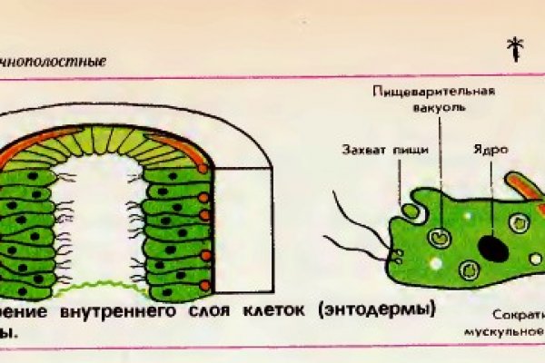 Зайти на сайт кракен