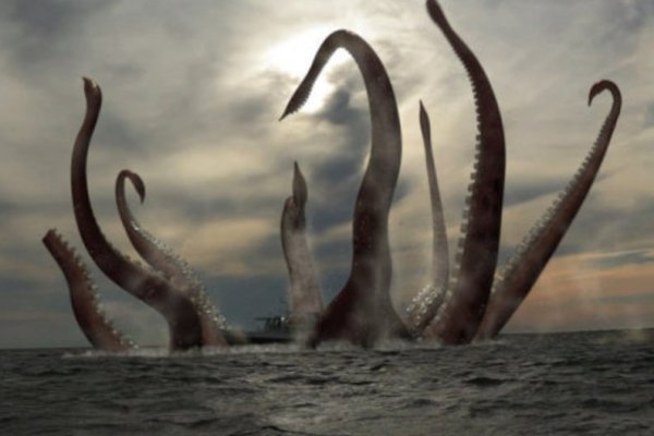 Kraken что это за сайт